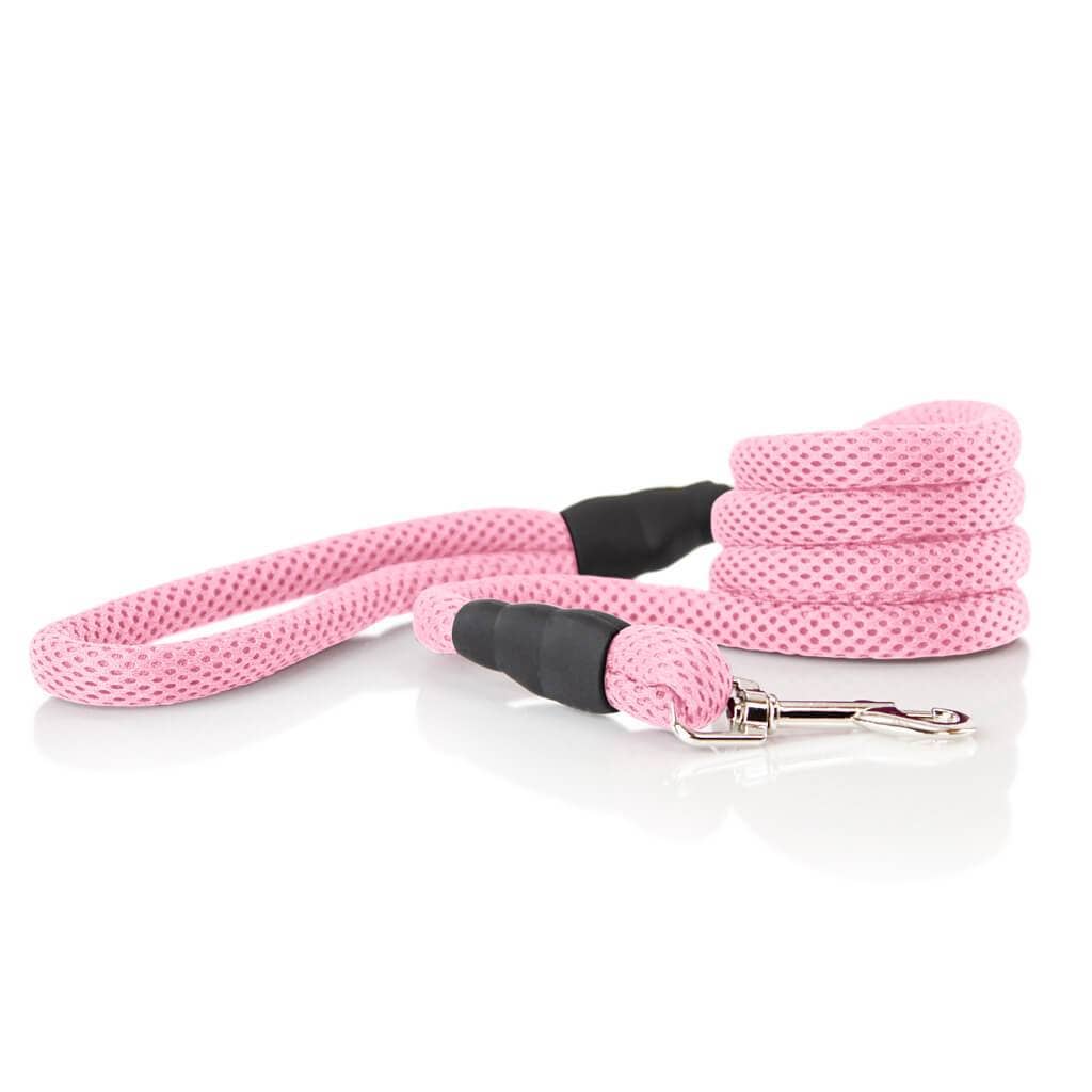 #10017 - Mesh Leash