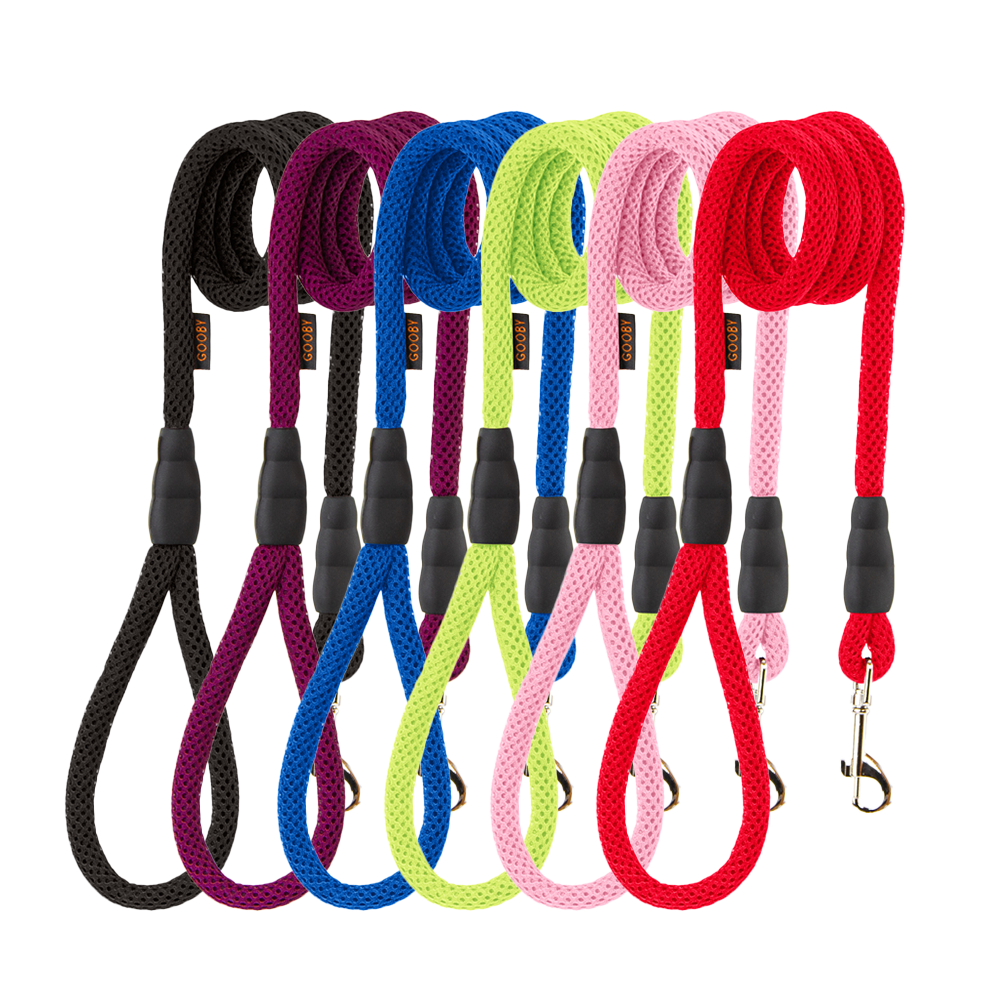 #10017 - Mesh Leash