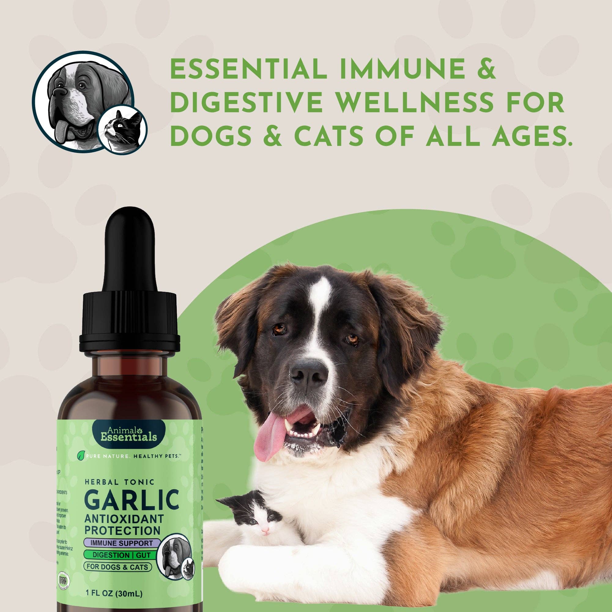 Garlic Single Herb Tonic | Antioxidant Protection