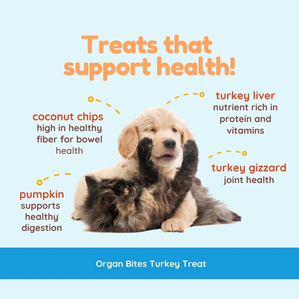 CocoTherapy Turkey Organ Bites - Turkey & Pumpkin 3 oz
