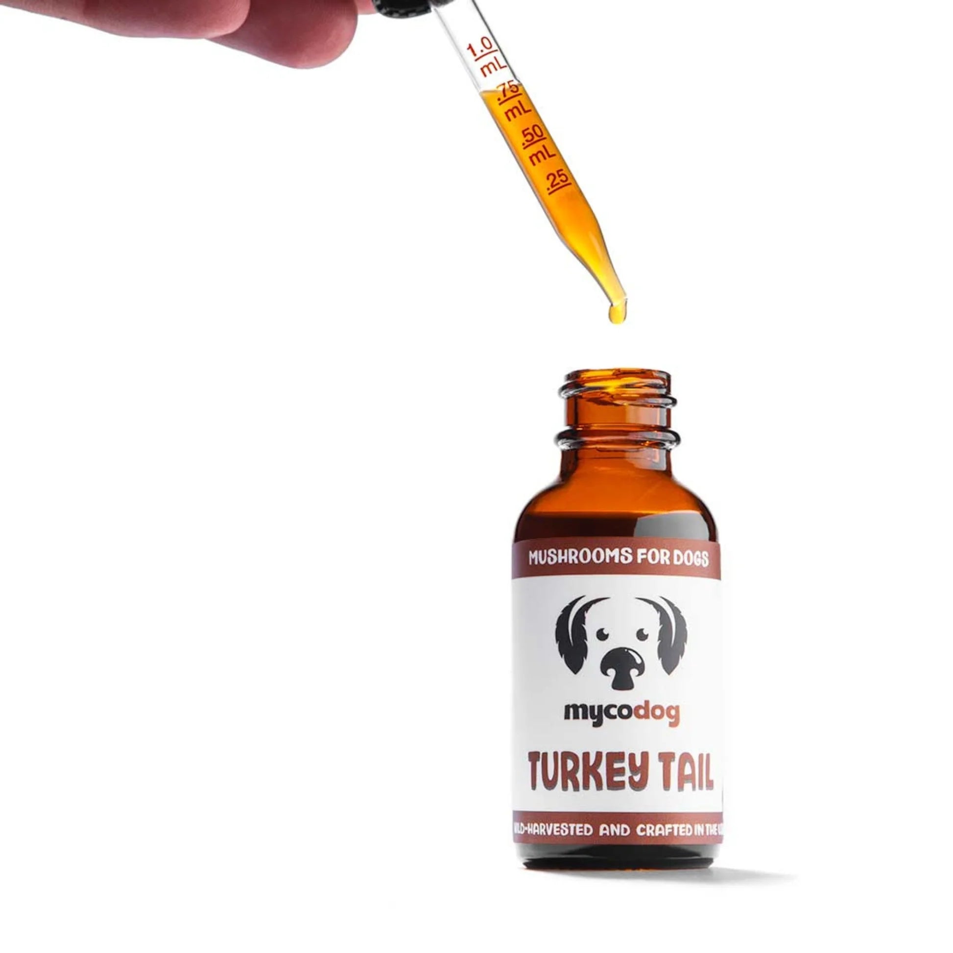 MycoDog Turkey Tail Extract For Dogs- 1 oz