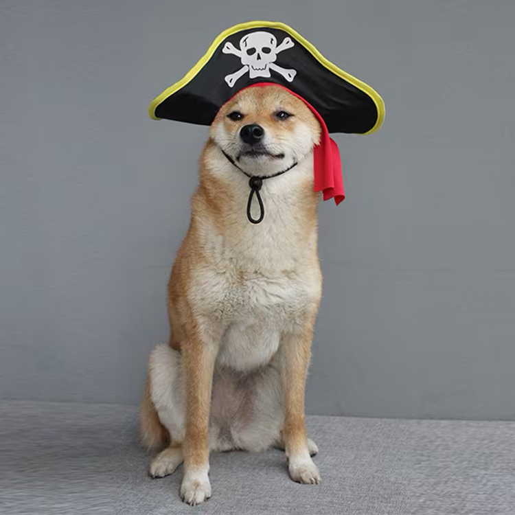 Pirate Pet Costume Set with Hat & Bandana