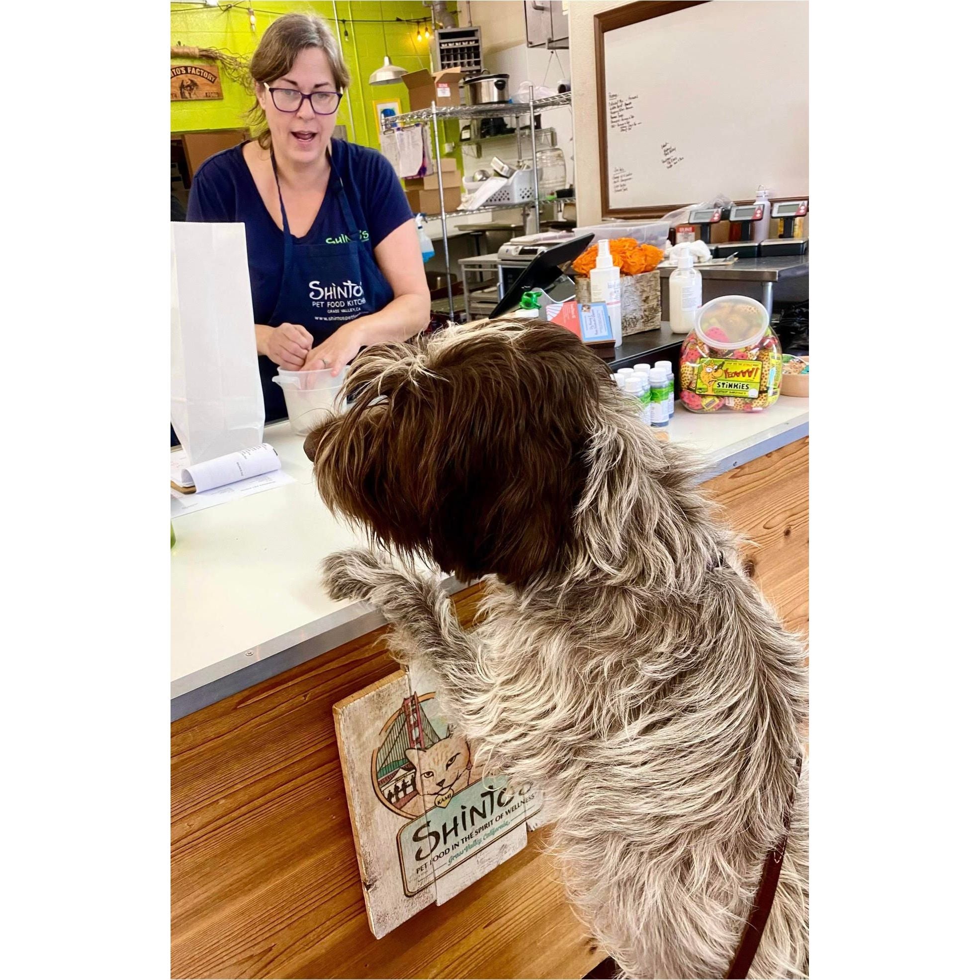 Shinto's Wellness Consultation – Pet Nutrition & Care