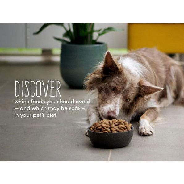 Allergy Test My Pet – Dog Allergy Testing Kit
