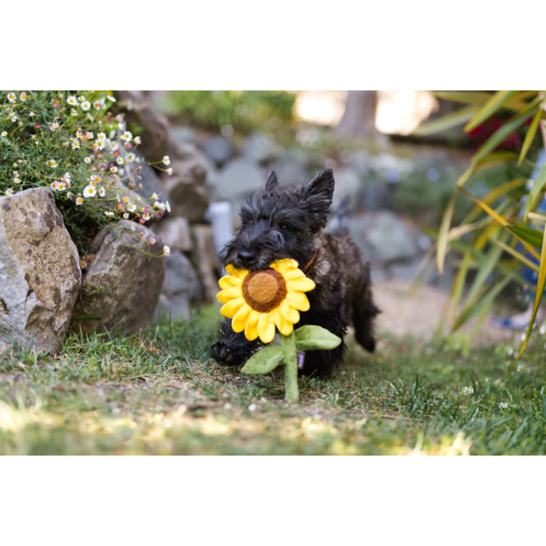 P.L.A.Y. Blooming Buddies – Sassy Sunflower Plush Dog Toy