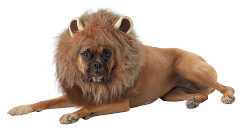California Costumes King of the Jungle Lion Mane for Dogs