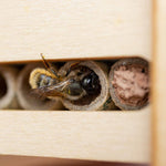 Beevive DIY Bee Hotel Kit