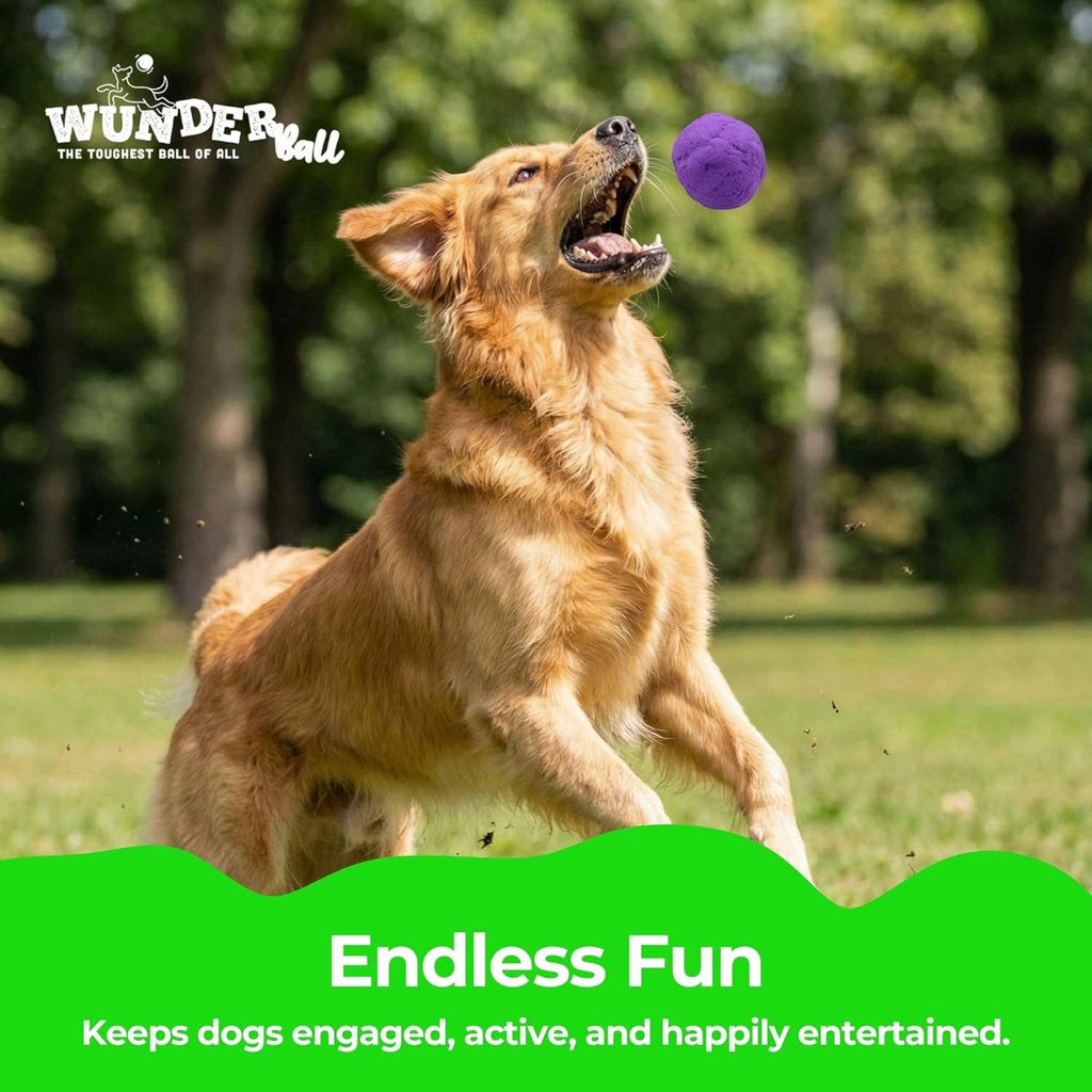 WUNDERball Dog Toy Refill – 12 Pack