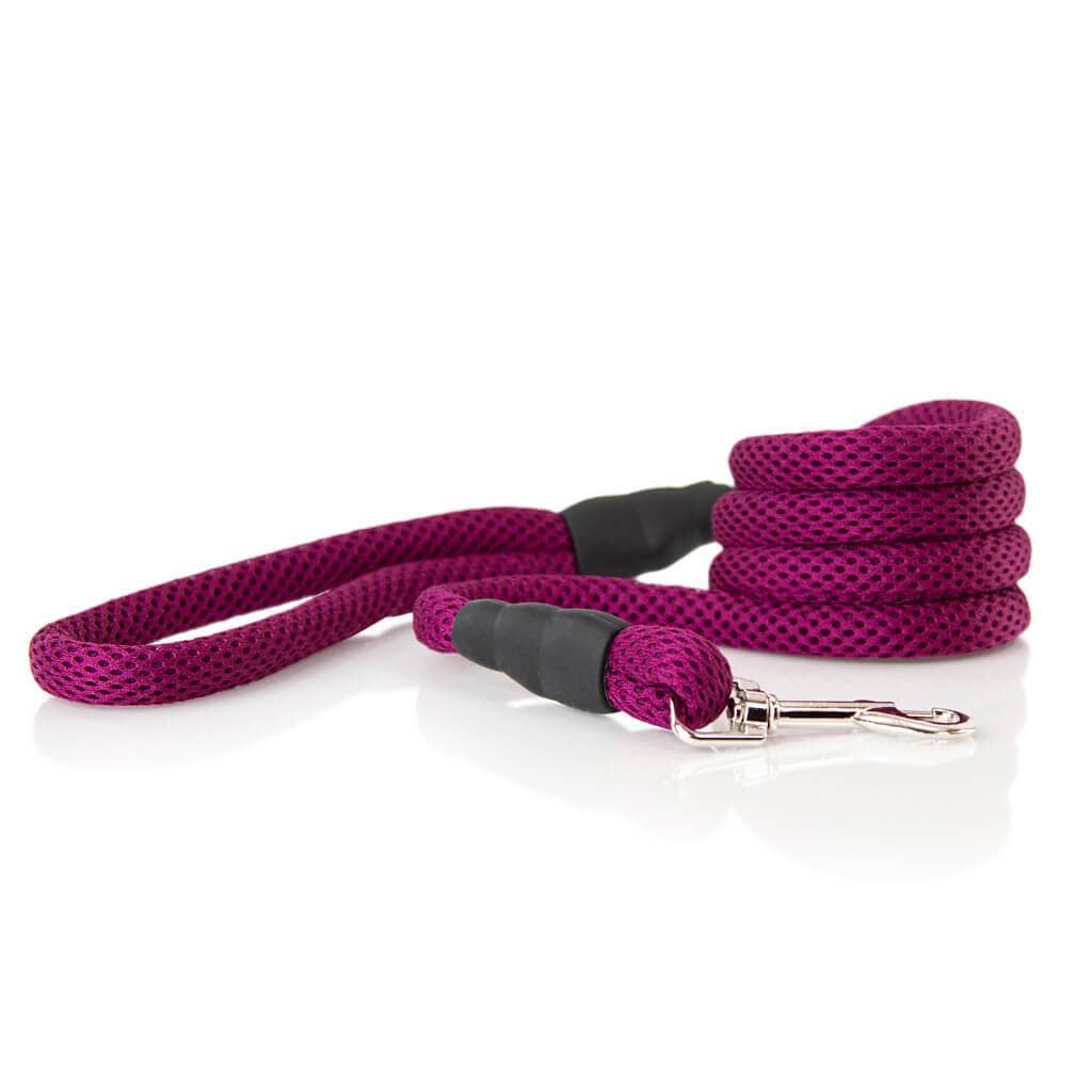 #10017 - Mesh Leash