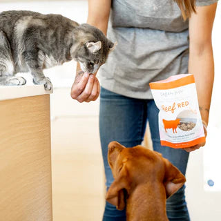 Green Juju Freeze-Dried Beef Red Bites – Grass-Fed Beef & Organic Veggies