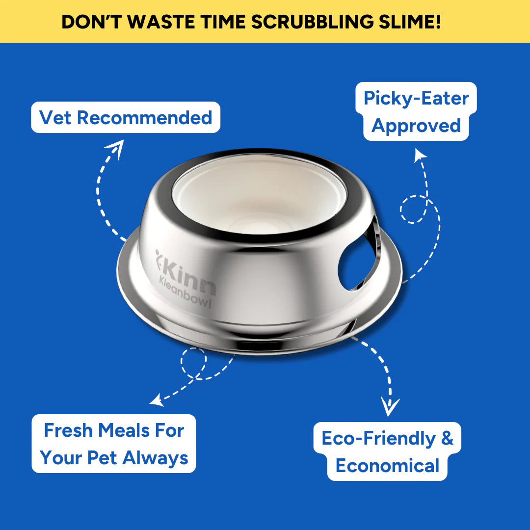 Kinn Kleanbowl- The Healthier Pet Bowl