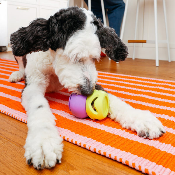 WAGLAB PlayStack The Boomerang Dog Toy