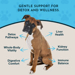 Detox Herbal Tonic Blend | Support Normal Liver Detoxification
