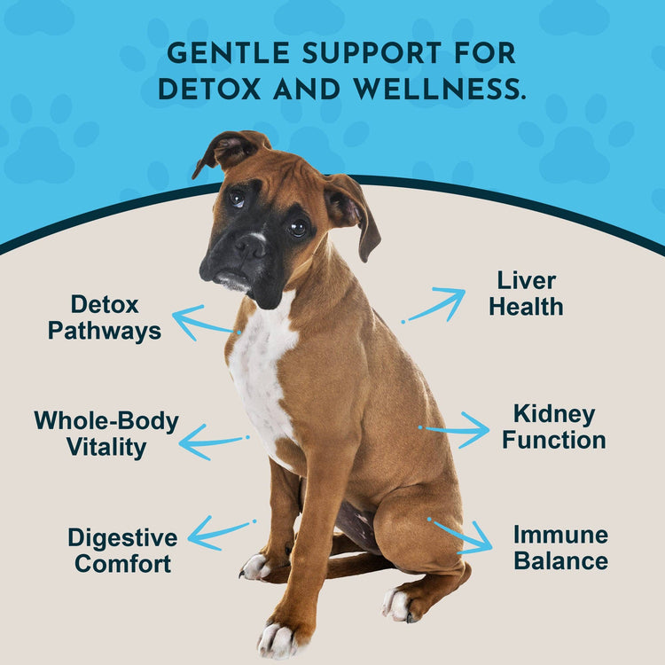 Detox Herbal Tonic Blend | Support Normal Liver Detoxification