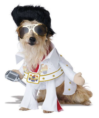 California Costumes Elvis Viva Vegas Dog Costume