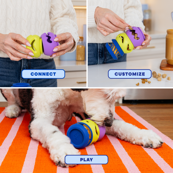 WAGLAB PlayStack The Squiggle Dog Toy