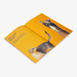 Smalls Cat Parenthood Zine – 40 Pages