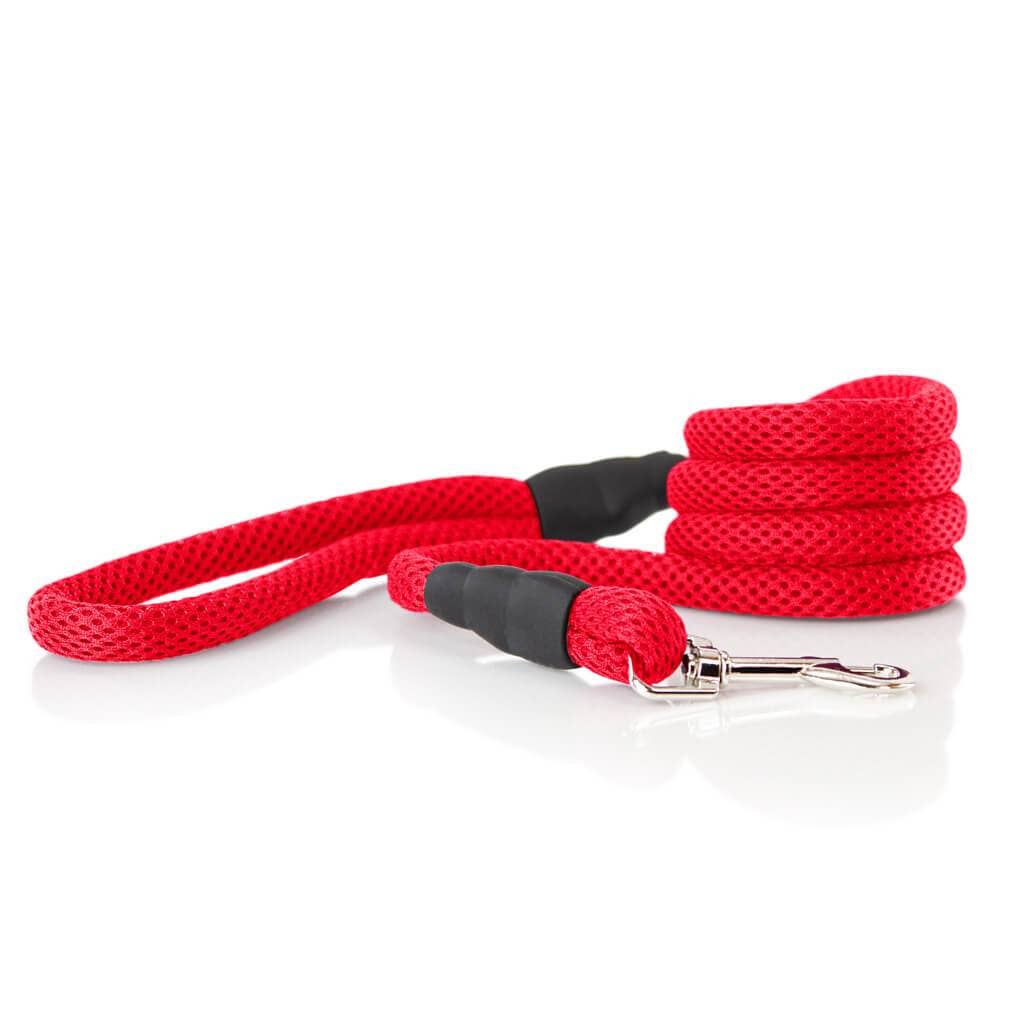 #10017 - Mesh Leash