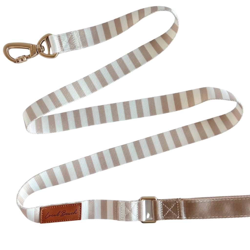 Local Beach Stripe 5ft Dog Leash Tan