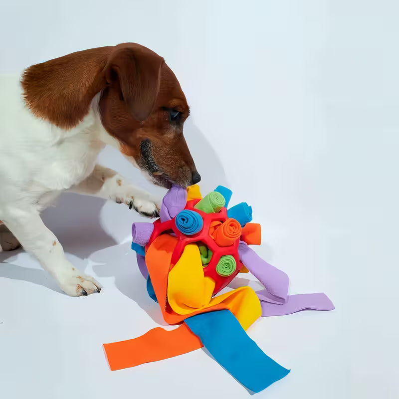 Orange Snuffle Ball