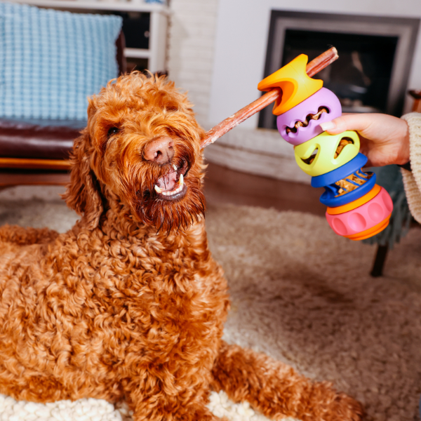 WAGLAB PlayStack Dog Toy – 2 Pack