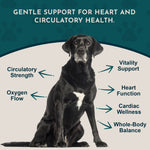 Heart Health Herbal Tonic Blend | Supports Cardiovascular Function