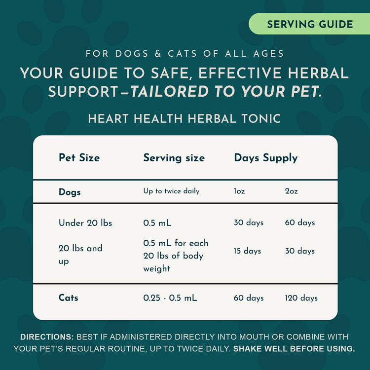 Heart Health Herbal Tonic Blend | Supports Cardiovascular Function