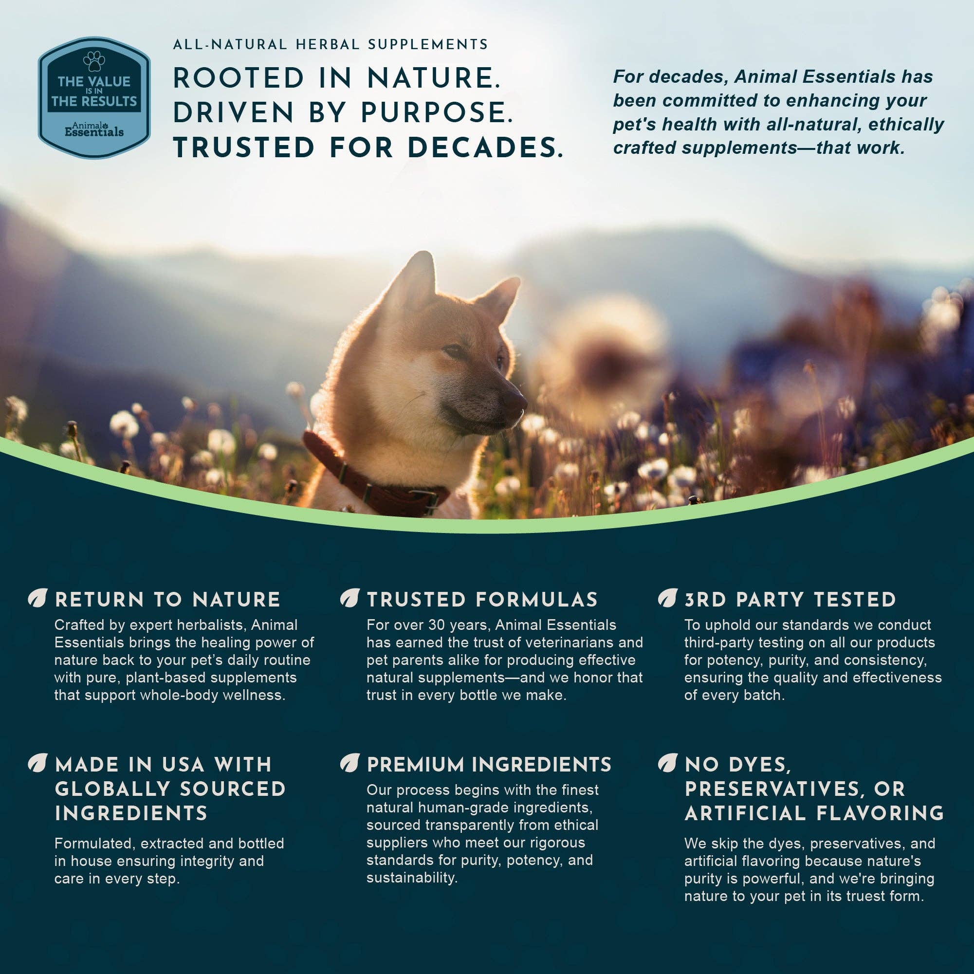 Detox Herbal Tonic Blend | Support Normal Liver Detoxification