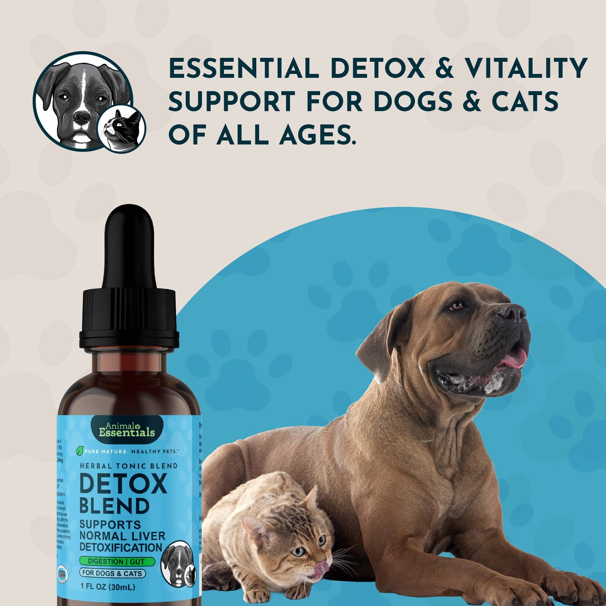 Detox Herbal Tonic Blend | Support Normal Liver Detoxification
