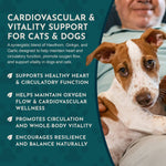 Heart Health Herbal Tonic Blend | Supports Cardiovascular Function