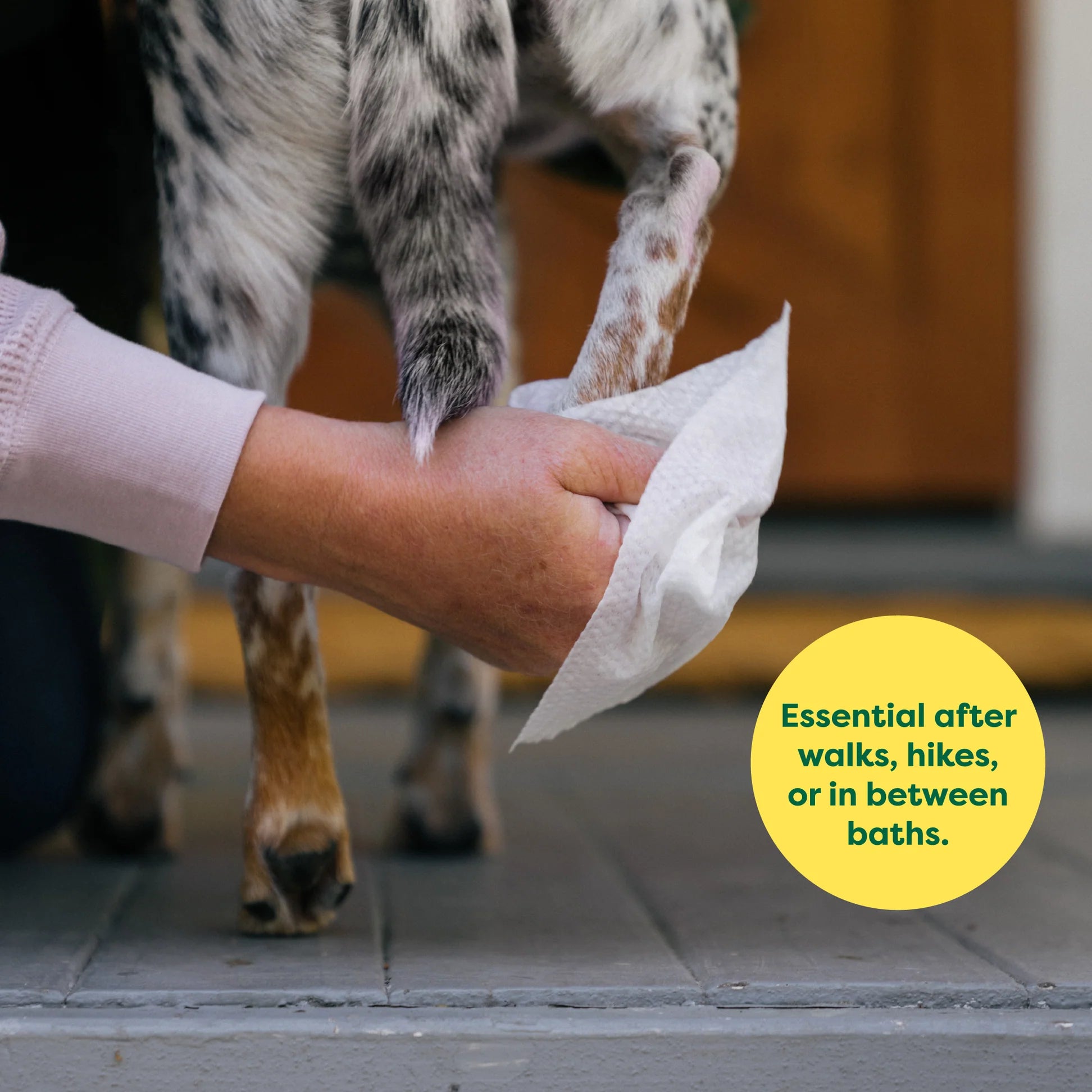 Earth Rated Unscented Dog Wipes – Hypoallergenic Grooming Wipes for Dogs, 60-Count
