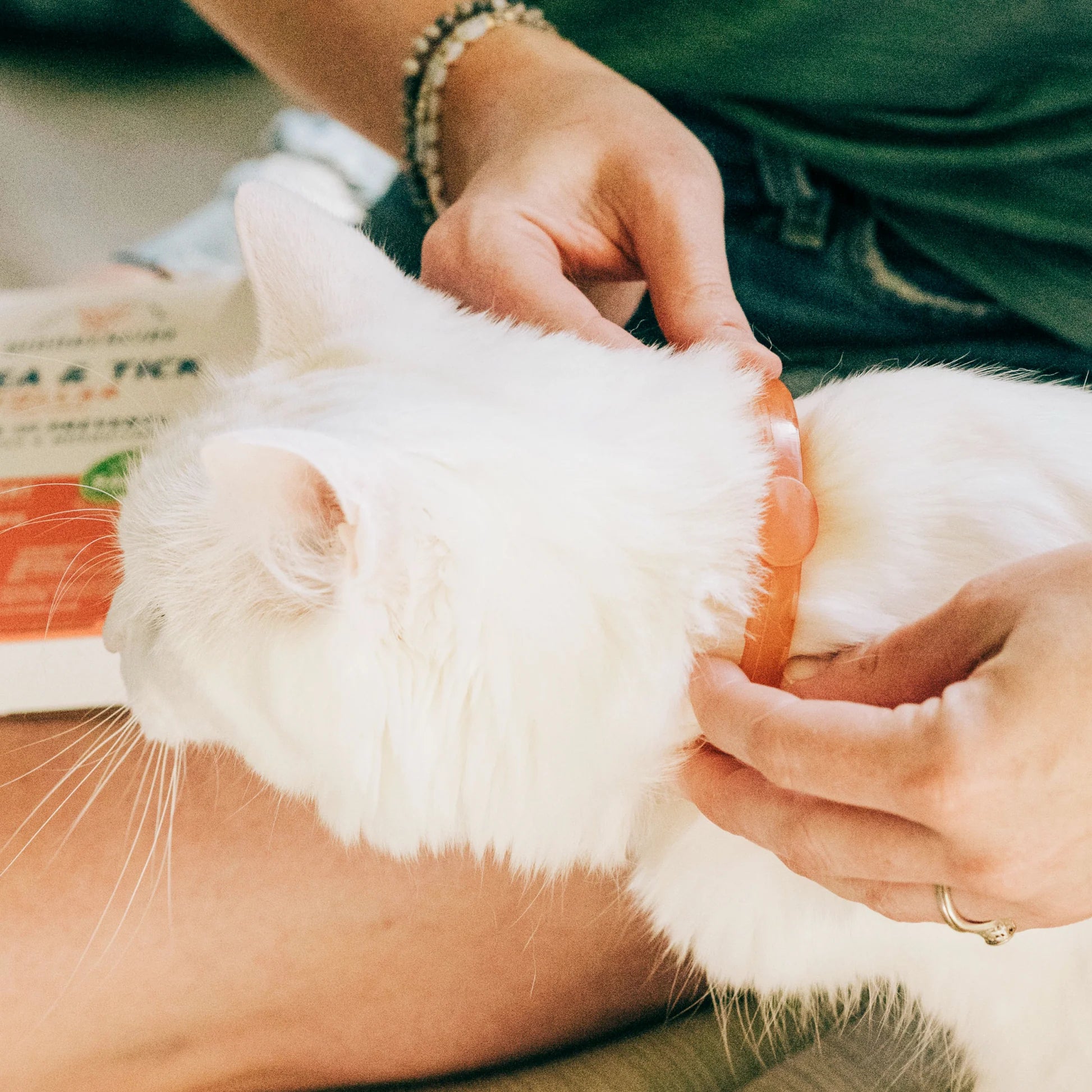 Wondercide Flea & Tick Collar for Cats – Natural, Plant-Based Protection with Essential Oils
