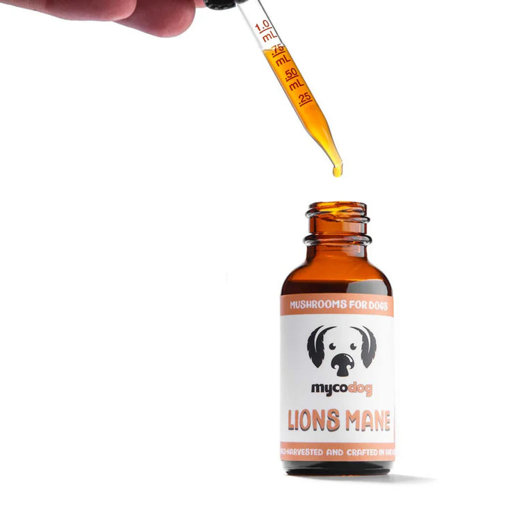 MycoDog Lion’s Mane Mushroom Extract for Dogs – 1 fl oz | Brain & Nerve Support