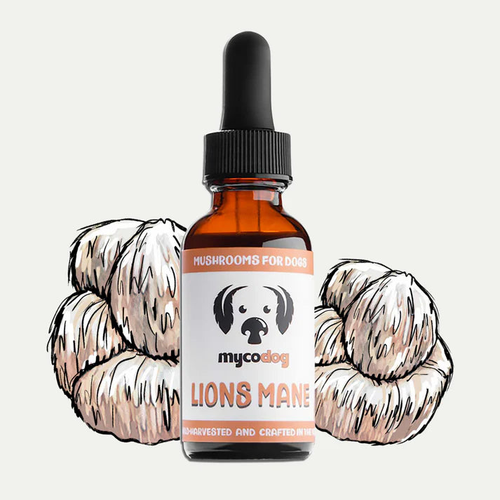 MycoDog Lion’s Mane Mushroom Extract for Dogs – 1 fl oz | Brain & Nerve Support
