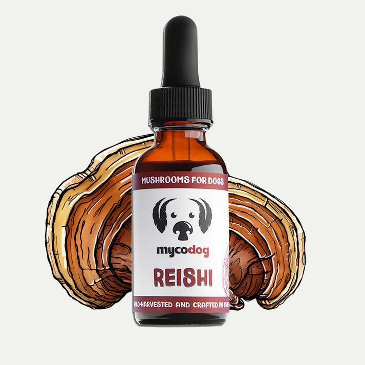MycoDog Reishi Mushroom Extract for Dogs – 1oz