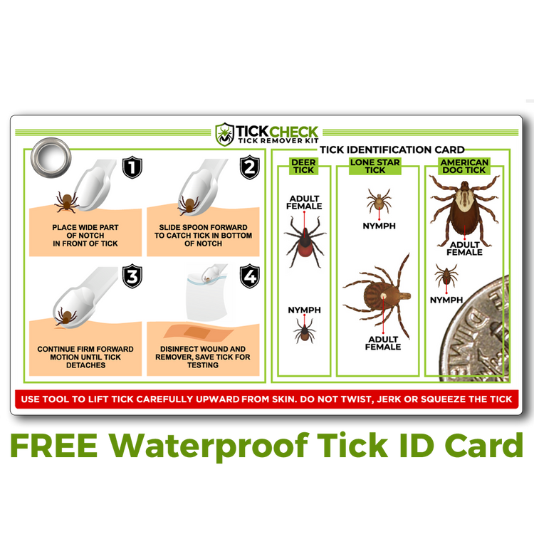TickCheck Tick Remover Spoons – 3-Pack