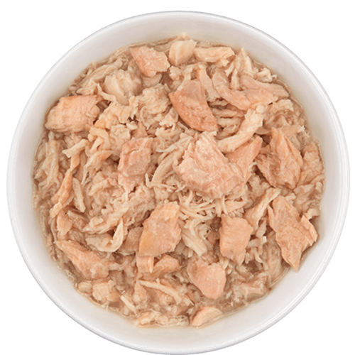 Tiki Cat Wild Salmon & Chicken in Chicken Consomme 2.8 oz