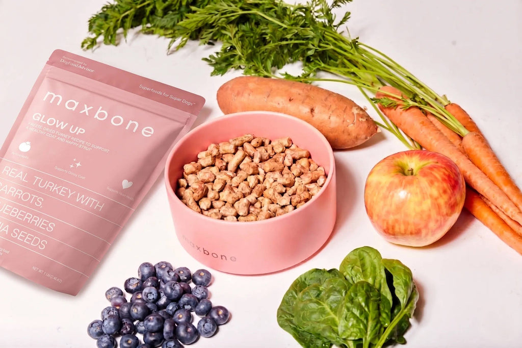 maxbone GLOW UP Turkey Freeze-Dried Dog Food