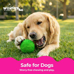 WUNDERball Dog Toy Refill – 12 Pack