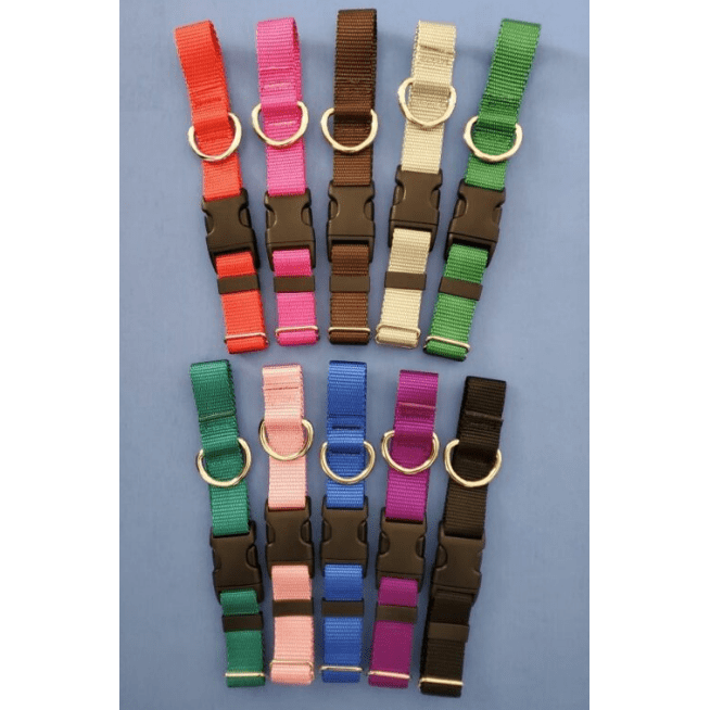 adjustable dog collars colorful and cute