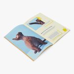 Smalls Cat Parenthood Zine – 40 Pages