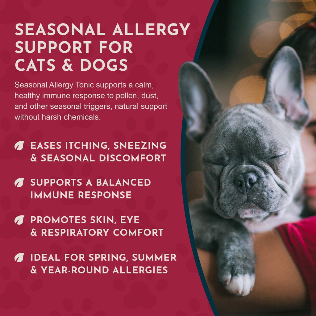 Seasonal Allergy Herbal Tonic | Maintains Normal Histamine Levels