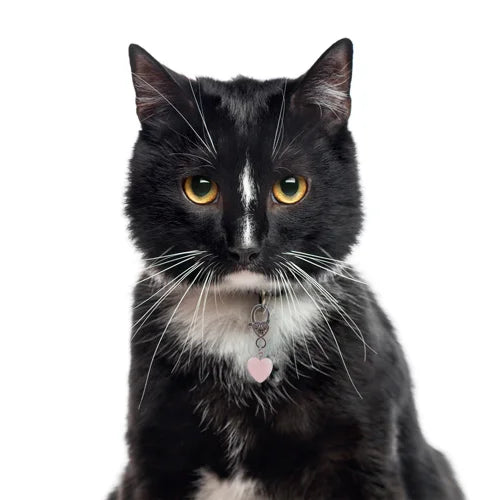 Harmony Rose Quartz Pendant for Cats & Dogs