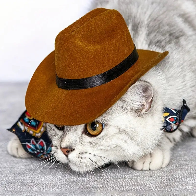 Brown Cowboy Hat for Dogs & Cats - Adjustable Strap
