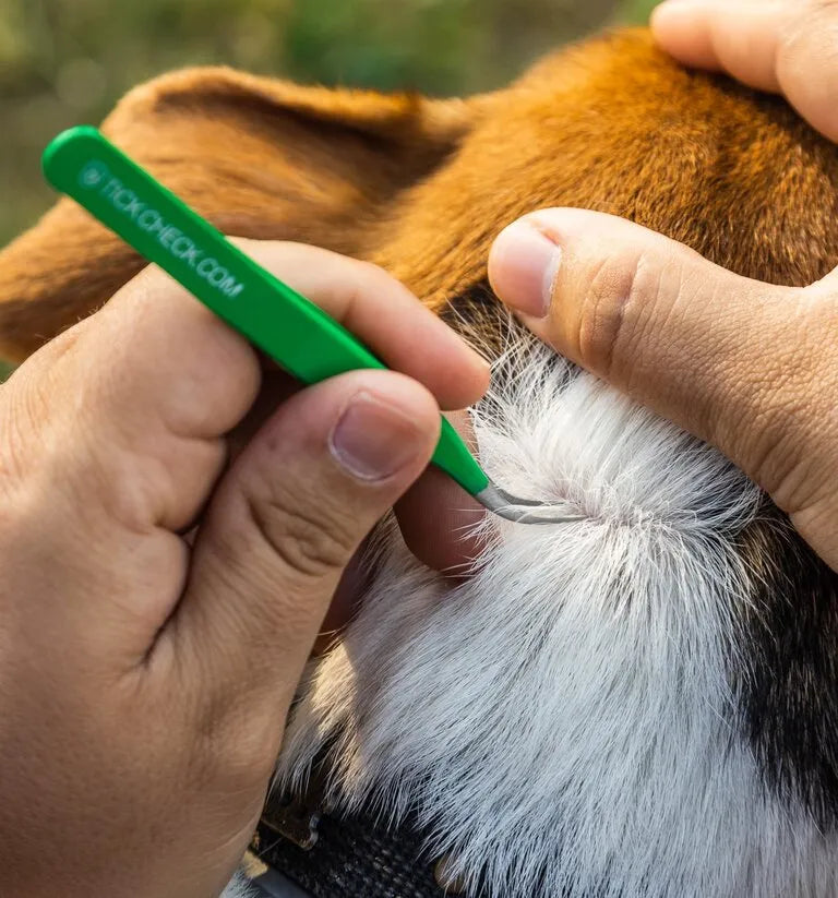 TickCheck Premium Tick Remover Toolkit