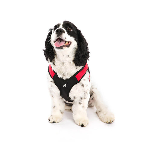 Gooby Escape Free Memory Foam Dog Harness