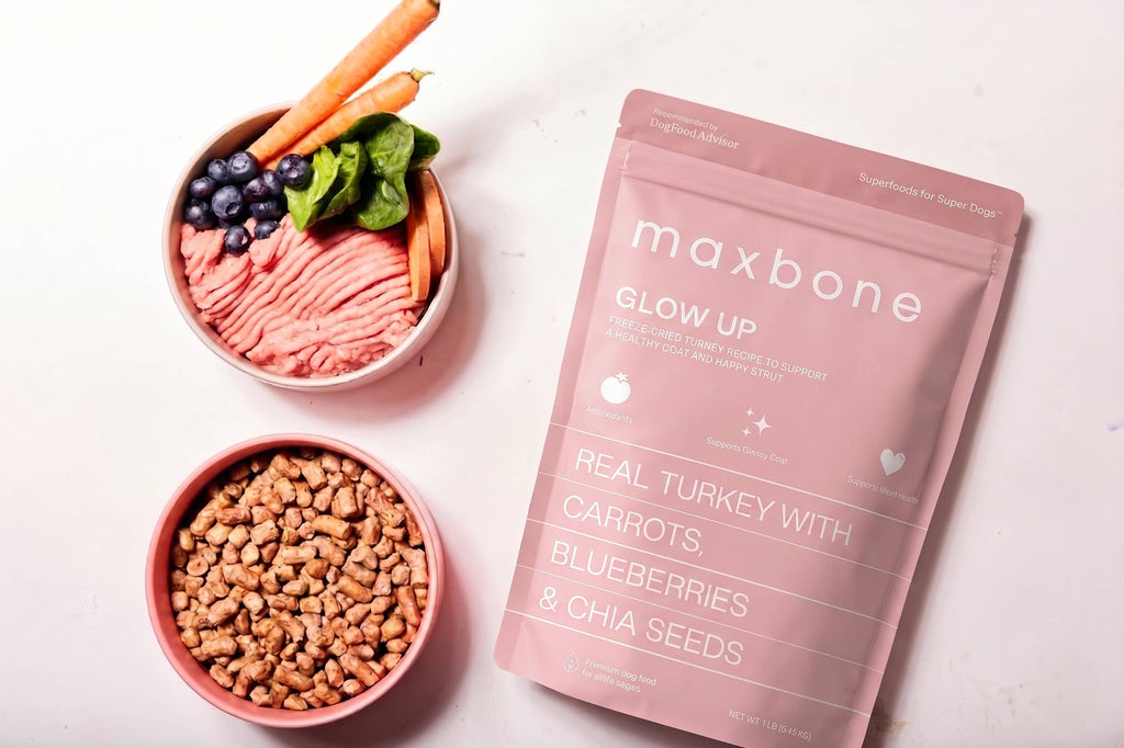 maxbone GLOW UP Turkey Freeze-Dried Dog Food
