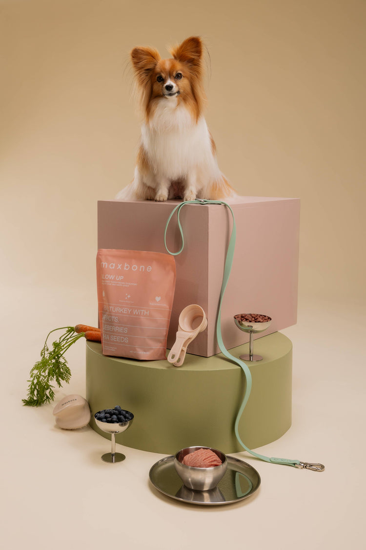 maxbone GLOW UP Turkey Freeze-Dried Dog Food