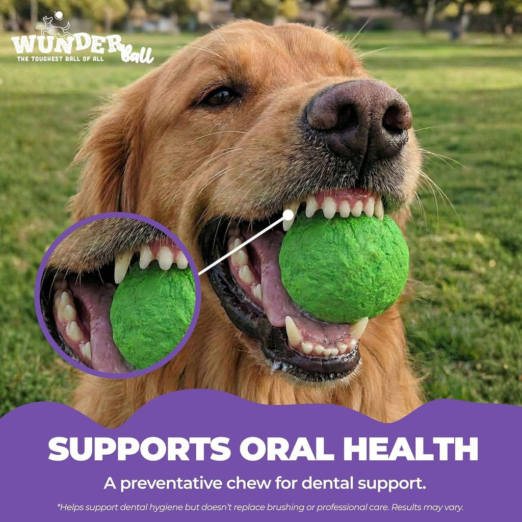 WUNDERball Dog Toy Refill – 12 Pack