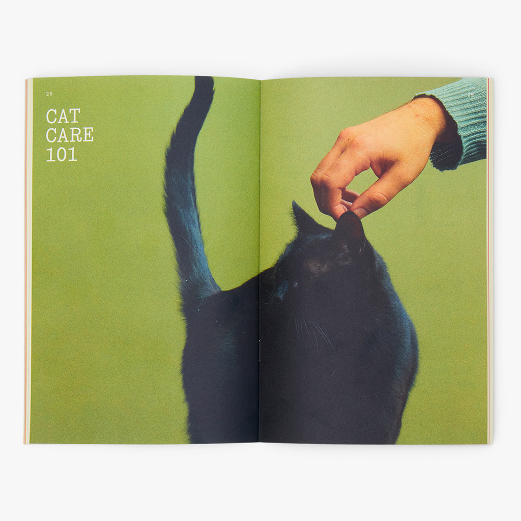 Smalls Cat Parenthood Zine – 40 Pages